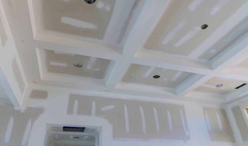 Promax Painting
